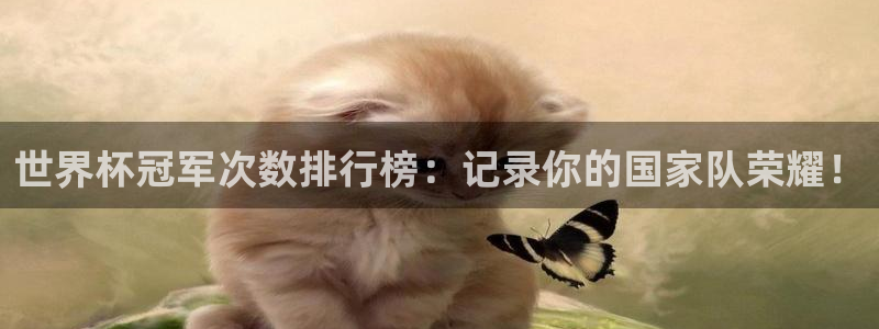 世界杯葡萄牙赛程：世界杯冠军次数排行榜：记录你的国家队荣耀！