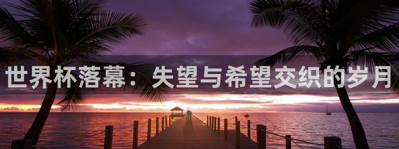 中国 世界杯：世界杯落幕：失望与希望交织的岁月