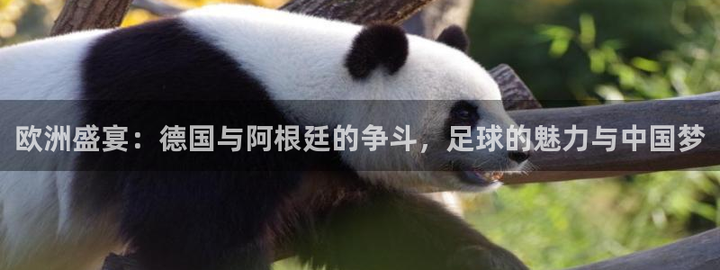 世界杯预选赛欧洲赛区积分榜：欧洲盛宴：德国与阿根廷的争斗，足球的魅力与中国梦