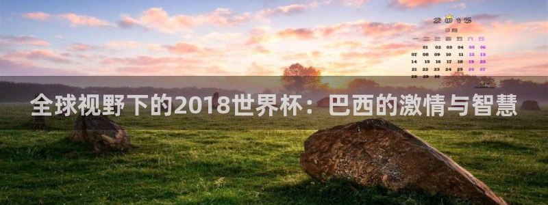 世界杯足球赛2026：全球视野下的2018世界杯：巴西的激情与智慧