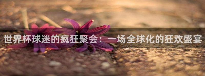 世预赛欧洲赛程表：世界杯球迷的疯狂聚会：一场全球化的狂欢盛宴