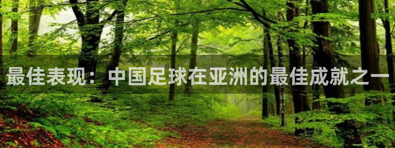 2026世预赛赛程表：最佳表现：中国足球在亚洲的最佳成就之一