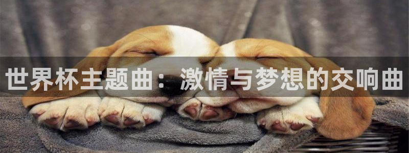 世界杯赛程2026：世界杯主题曲：激情与梦想的交响曲