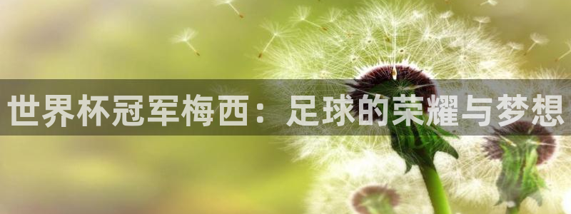 世界杯 赛程：世界杯冠军梅西：足球的荣耀与梦想