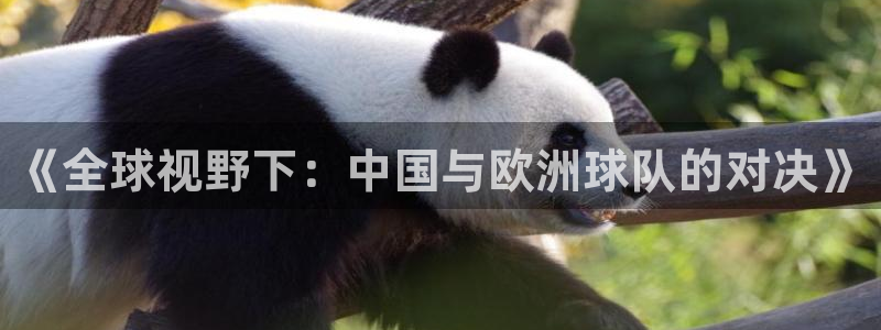 世界杯亚洲预选赛18强赛程：《全球视野下：中国与欧洲球队的对决》