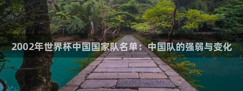 世界杯2026预选赛：2002年世界杯中国国家队名单：中国队的强弱与变化